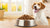 How Much Freeze-Dried Dog Food to Feed: A Comprehensive Guide for Pet Owners