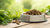 How Much Freeze-Dried Food to Feed Your Dog: A Comprehensive Guide