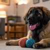 How Much Fresh Food to Feed a Dog: A Comprehensive Guide for Pet Owners