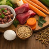 How Much Fresh Food to Feed Your Dog Per Day: An In-Depth Guide