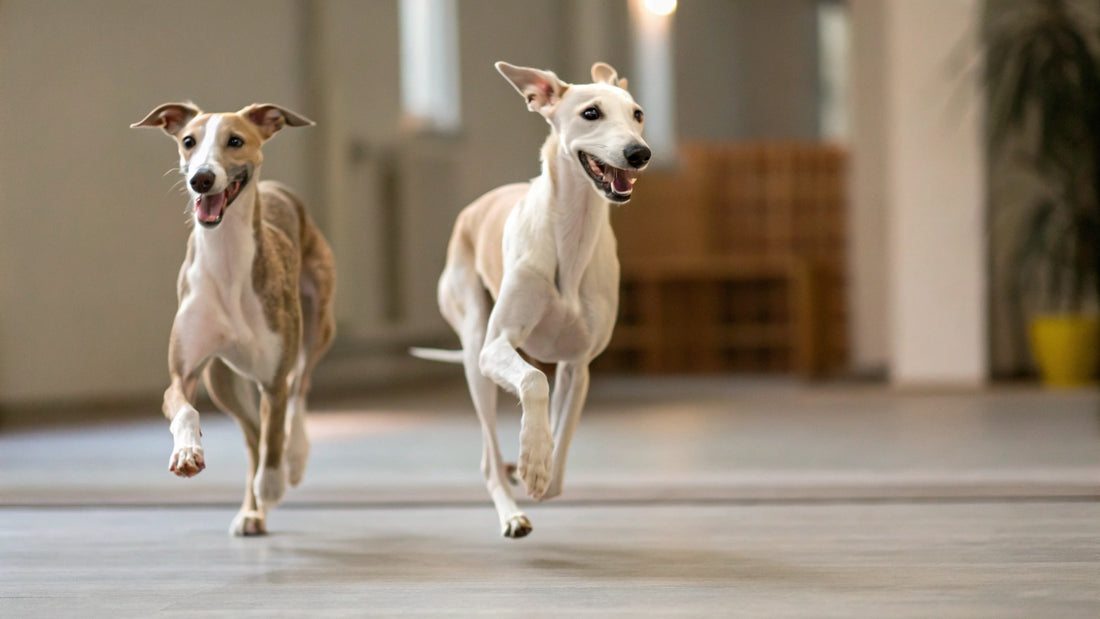 How Much Garlic is Toxic for Dogs? Understanding the Risks for Our Furry Friends