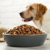 How Much Grain Free Dog Food to Feed: A Comprehensive Guide for Pet Owners
