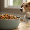 How Much Home Cooked Food Should I Feed My Dog? A Comprehensive Guide for Pet Owners