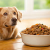 How Much Homemade Dog Food for a 60 lb Dog: A Comprehensive Guide
