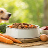 How Much Homemade Dog Food Should I Feed? A Complete Guide for Pet Owners