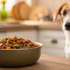 How Much Homemade Dog Food Should You Feed Your Dog?