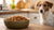 How Much Homemade Dog Food Should You Feed Your Dog?