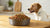 How Much Homemade Dog Food to Feed Your Dog: A Comprehensive Guide