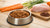 How Much Homemade Food Should I Feed My Dog? A Comprehensive Guide-140547522799