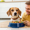 How Much Human Food Can a Dog Eat? A Comprehensive Guide for Pet Parents