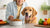 How Much Human Food to Feed a Dog: A Comprehensive Guide for Pet Parents-140550865135