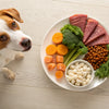 How Much Human Food to Feed Your Dog for Optimal Health