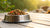 How Much Is a Cup of Food for a Dog: Understanding Your Dog’s Nutritional Needs