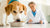 How Much Is a Dog Food Allergy Test? Understanding the Costs and Process