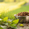 How Much Is Dry Dog Food? A Comprehensive Guide for Pet Owners