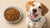 How Much Is Just Food for Dogs: Understanding Costs and Choices for Your Furry Friend