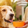 How Much Is Prescription Dog Food: Understanding Costs and Benefits for Pet Owners