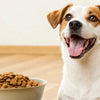 How Much Kibble to Feed Your Dog Per Pound: A Comprehensive Guide for Pet Owners
