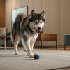 How Much Milk Chocolate Can a Dog Have? Understanding Chocolate Toxicity in Dogs