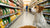 How Much Money Does Dog Food Cost? A Comprehensive Guide-140652937455