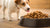 How Much Protein Does Dog Food Have? Understanding Your Pet’s Nutritional Needs-140545065199