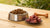 How Much Protein in 100 Grams of Dog Food: Essential Insights for Pet Owners-140653756655