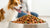 How Much Protein in Dog Food is Best: A Comprehensive Guide for Pet Owners