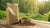 How Much Protein is in a Bag of Dog Food: Understanding Your Dog's Nutritional Needs