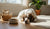 How Much Protein is in Dry Dog Food: A Comprehensive Guide for Pet Parents-141417939183