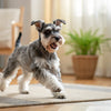 How Much Protein Is in Wet Dog Food? Understanding Nutritional Needs to Keep Your Dog Healthy