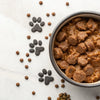 How Much Protein is in Wet Dog Food and Why It Matters