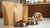 How Much Protein Should Be in Dry Dog Food? A Comprehensive Guide for Pet Owners