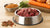 How Much Raw Dog Food Should You Feed Your Dog Daily?
