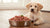 How Much Raw Dog Food to Feed Puppy: A Comprehensive Guide