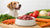How Much Raw Food Does My Dog Need for Optimal Health?