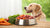 How Much Raw Food for Dog Per Day: A Comprehensive Guide for Pet Owners
