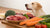 How Much Raw Food Per Day for Your Dog: A Comprehensive Guide