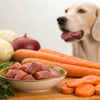 How Much Raw Food Should a Dog Eat? A Comprehensive Guide for Pet Owners