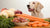 How Much Raw Food Should a Dog Eat? A Comprehensive Guide for Pet Owners