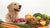 How Much Raw Food Should My Dog Be Eating? A Comprehensive Guide