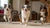 How Much Raw Food Should My Dog Eat? A Comprehensive Guide for Pet Owners