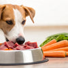 How Much Raw Food Should My Dog Have? A Comprehensive Guide to Feeding Your Canine Companion