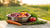 How Much Raw Food Should You Feed Your Dog? A Comprehensive Guide for Pet Owners