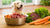 How Much Raw Food Should You Feed Your Dog? A Comprehensive Guide for Pet Owners