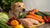 How Much Raw Food to Feed My Dog Per Day: A Comprehensive Guide
