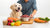 How Much Raw Food to Feed Your Dog: A Comprehensive Guide for Loving Pet Owners