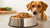 How Much Real Food Should I Feed My Dog?-140651987183