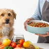 How Much Real Food to Feed My Dog: A Comprehensive Guide for Pet Owners