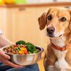 How Much Real Food to Feed Your Dog: A Comprehensive Guide for Pet Parents