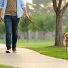 How Much Should I Exercise My Dog? A Comprehensive Guide for Pet Owners